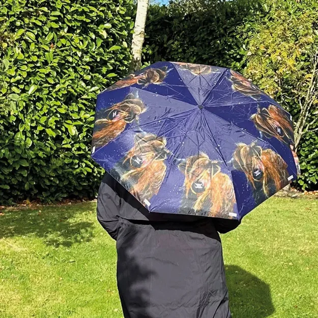 Bild von HIGHLAND COW UMBRELLA