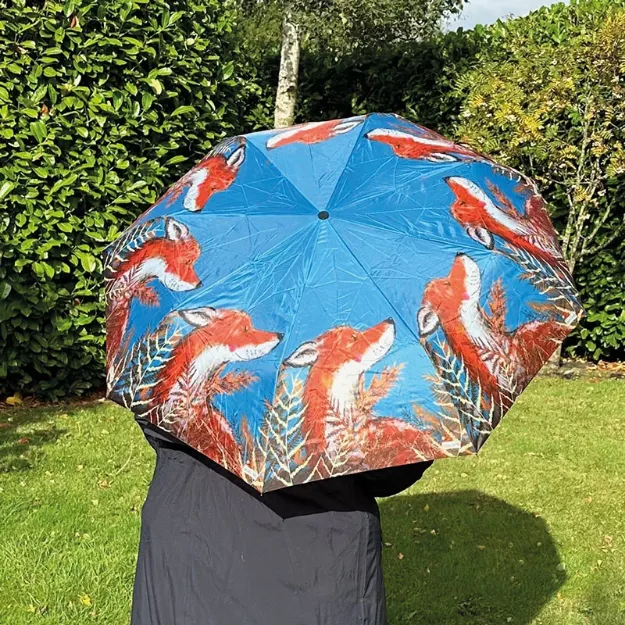 Bild von FOX UMBRELLA