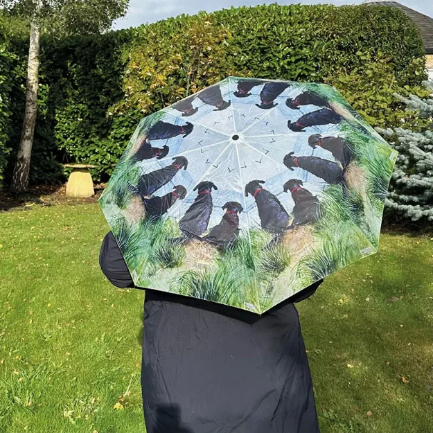 Bild von DUNE UMBRELLA