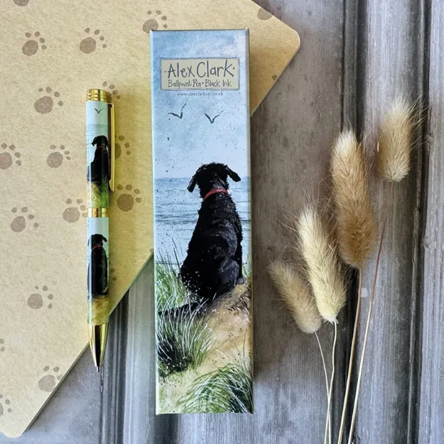 Bild von BP05 DUNES PEN