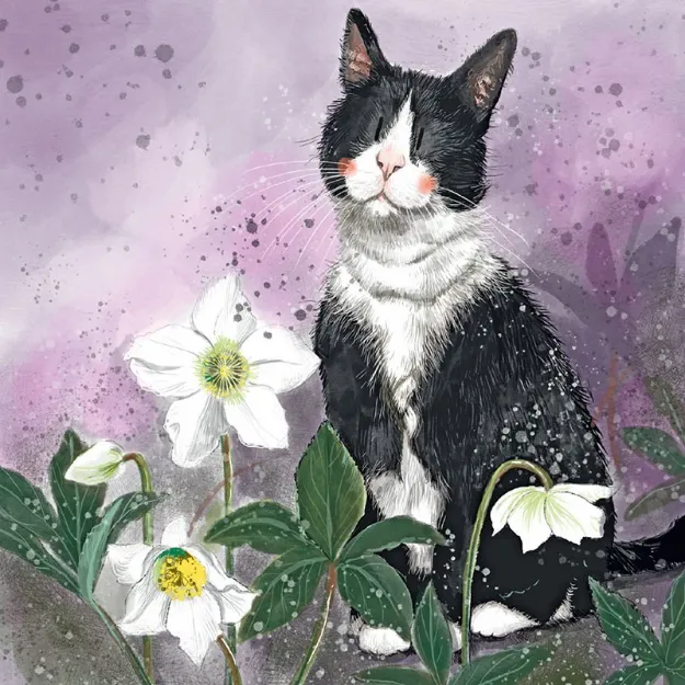 Bild von HELLEBORES BLANK CARD