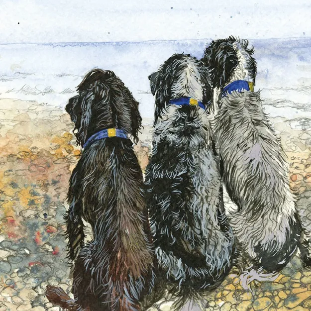 Bild von SPANIELS BY THE SEA BLANK CARD