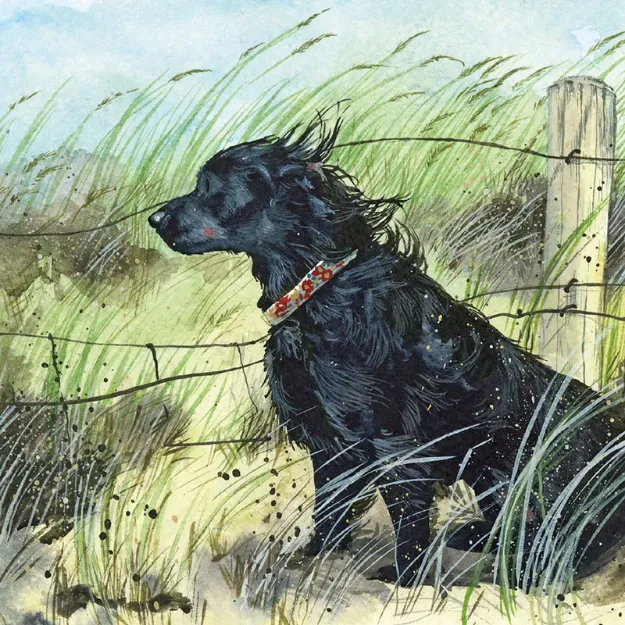 Bild von WINDSWEPT BLANK CARD