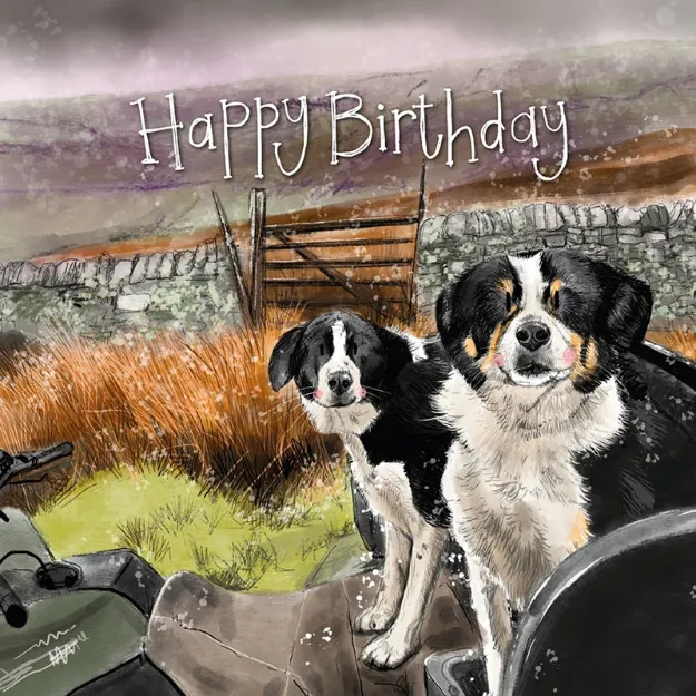 Bild von COLLIE QUAD BIRTHDAY CARD