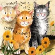 Bild von IN THE MARIGOLDS BIRTHDAY CARD