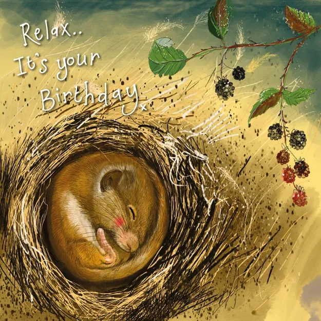 Bild von DORMICE BIRTHDAY CARD