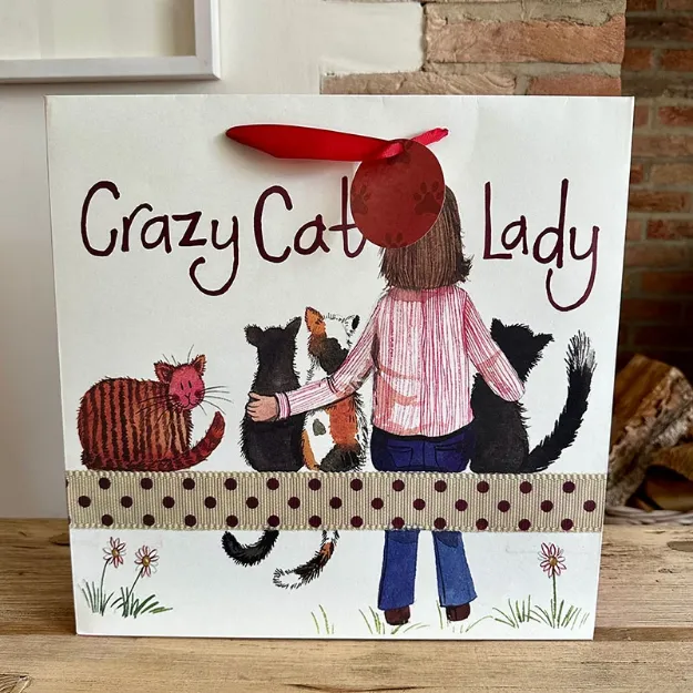 Bild von CRAZY CAT LADY GIFT BAG LARGE