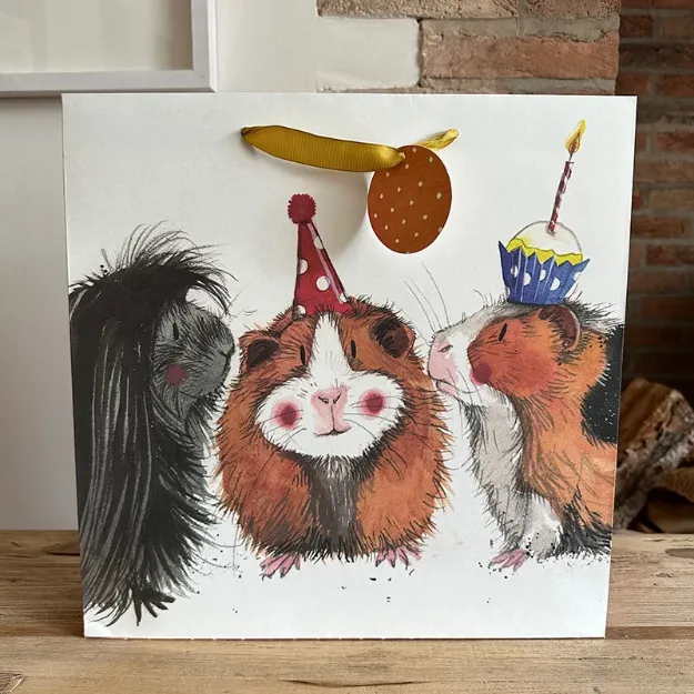 Bild von GUINEA PIGS GIFT BAG LARGE