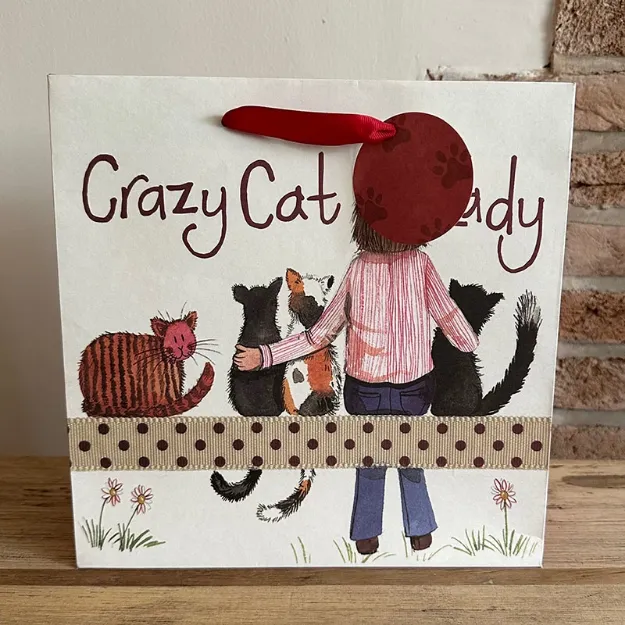 Bild von CRAZY CAT LADY GIFT BAG MEDIUM