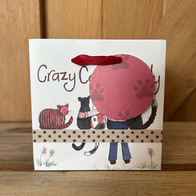 Bild von CRAZY CAT LADY GIFT BAG SMALL