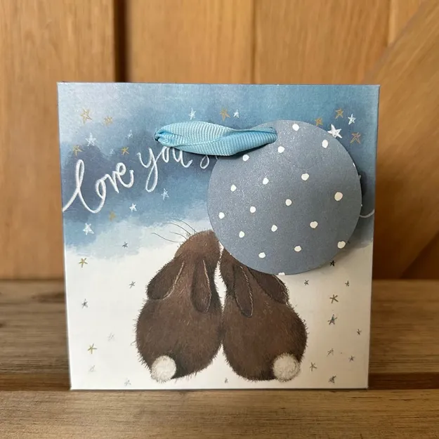 Bild von LOVE BUNNIES GIFT BAG SMALL