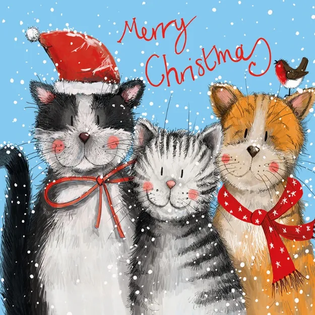 Bild von FESTIVE CATS BOX OF 8 CARDS