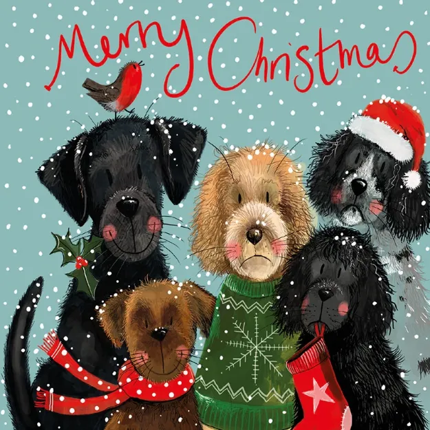 Bild von FESTIVE DOGS BOX OF 8 CARDS