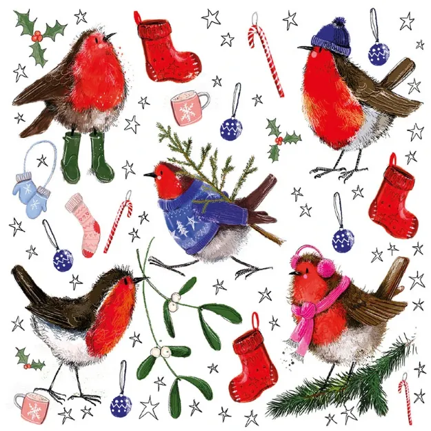 Bild von FESTIVE ROBINS BOX OF 8 CARDS