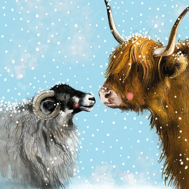 Bild von FESTIVE FARM BOX OF 8 CARDS