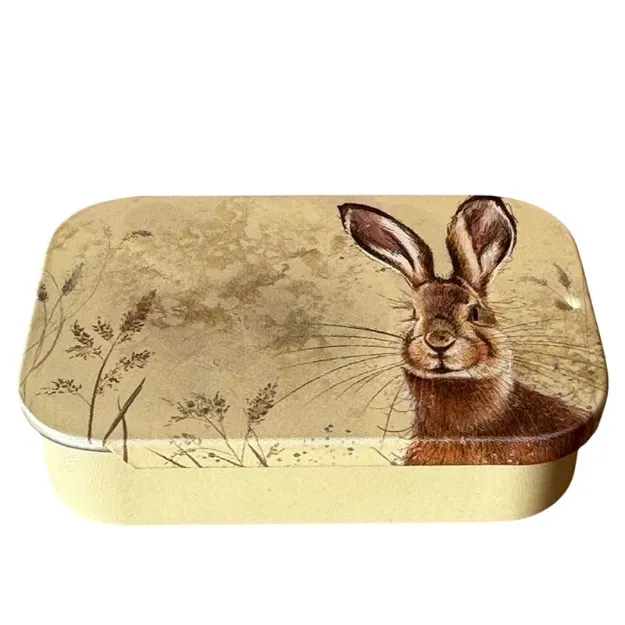 Bild von HARE AND COW PARSLEY SLIDING LITTLE TIN