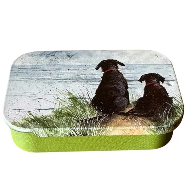 Bild von DUNES SLIDING LITTLE TIN