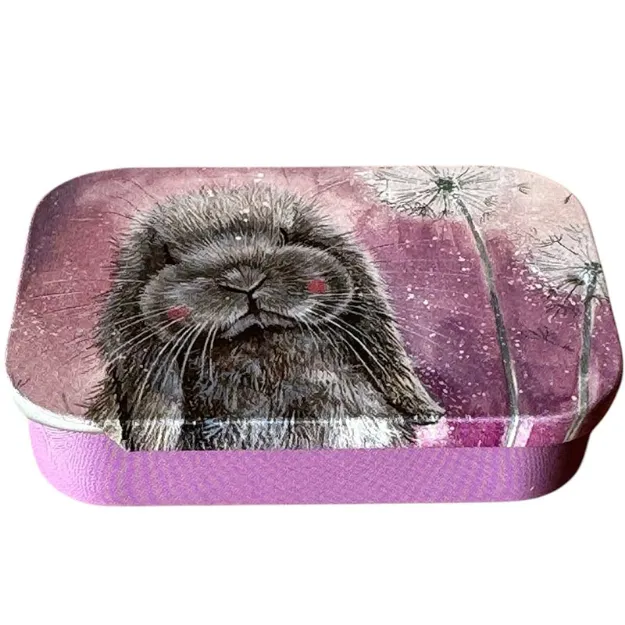 Bild von MISTY SLIDING LITTLE TIN