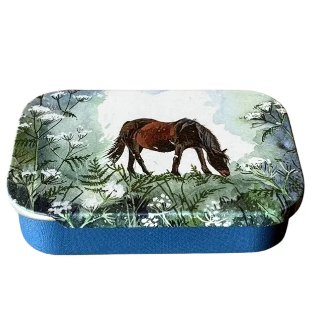 Bild von HORSE AND COW PARSLEY SLIDING LITTLE TIN