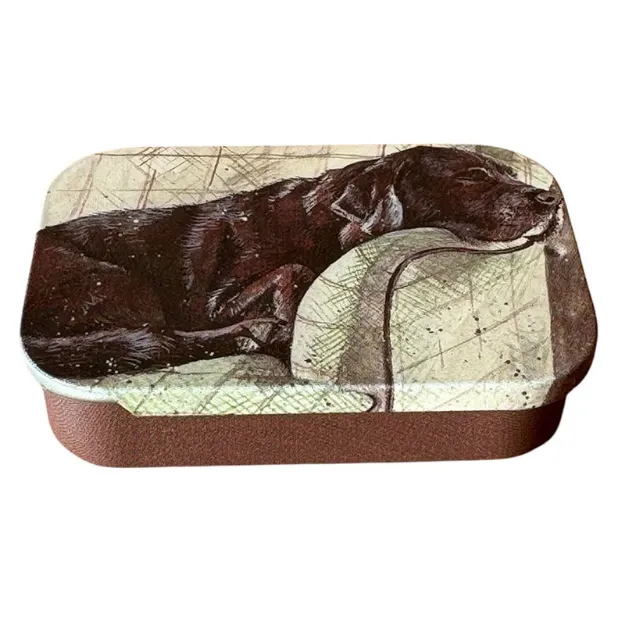 Bild von BUDDY SLIDING LITTLE TIN