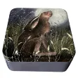 Bild von MOONGAZING HARE MEDIUM SQUARE TIN