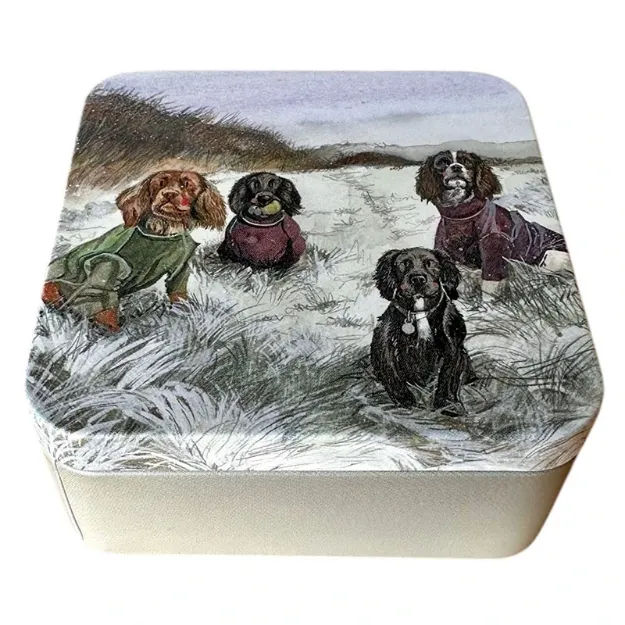 Bild von SPANIELS MEDIUM SQUARE TIN