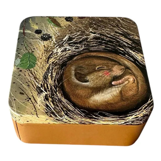 Bild von SLEEPING DORMOUSE MEDIUM SQUARE TIN