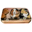 Bild von THE THREE GUINEAS SMALL RECTANGULAR TIN