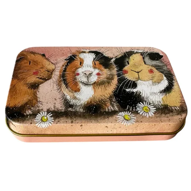Bild von THE THREE GUINEAS SMALL RECTANGULAR TIN