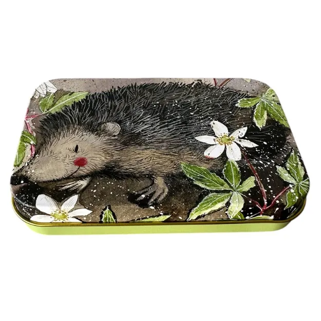 Bild von MR PRICKLY SMALL RECTANGULAR TIN