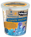 Bild von PhänoMINT Kristalle züchten, VE-12