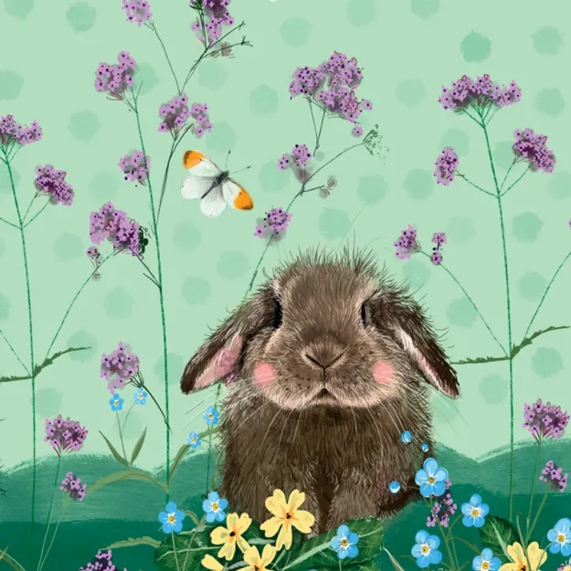 Bild von BRAMBLE BLANK CARD