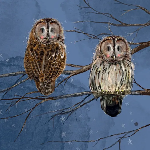 Bild von TWILIGHT BLANK CARD