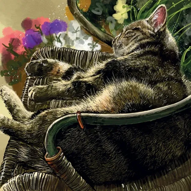 Bild von SOUND ASLEEP BLANK CARD