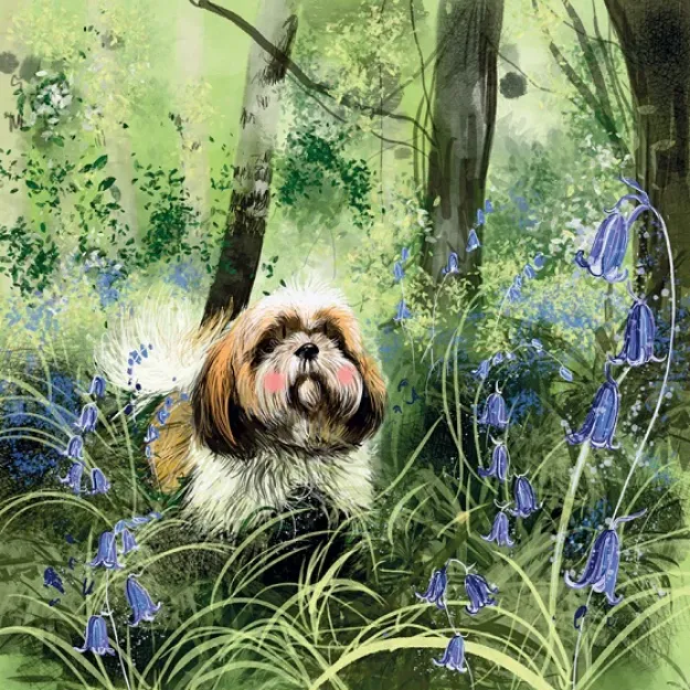 Bild von HARRI BLANK CARD