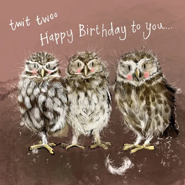 Bild von LITTLE OWLS BIRTHDAY CARD