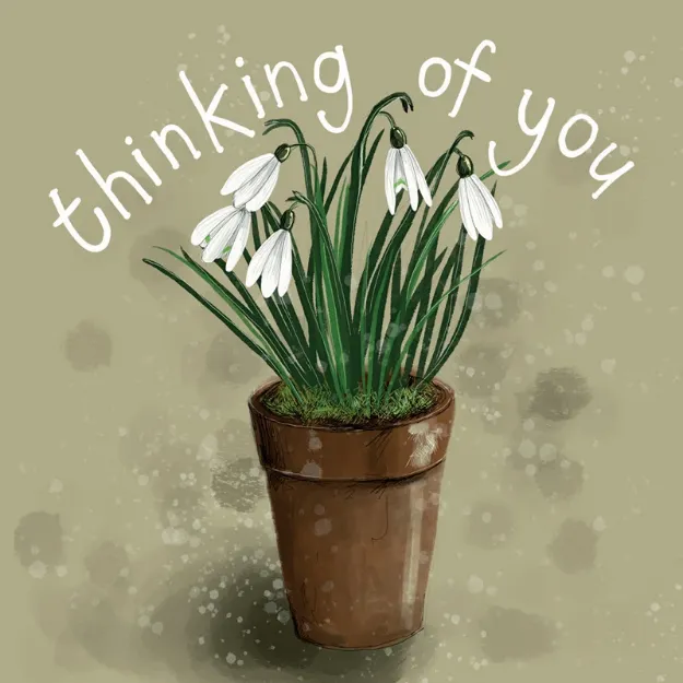 Bild von SNOWDROP SYMPATHY CARD