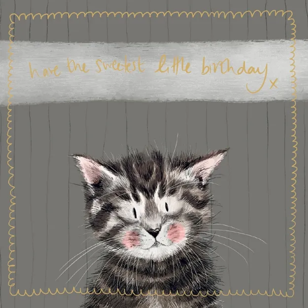 Bild von KITTEN LITTLE SPARKLE CARD