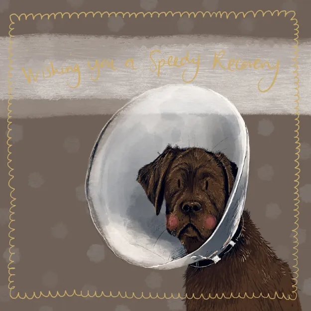 Bild von CONE LITTLE SPARKLE CARD