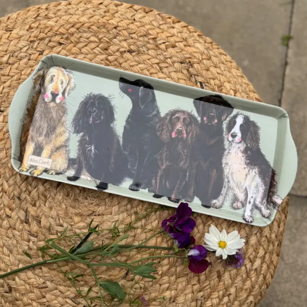 Bild von MEDIUM DOGS TRAY