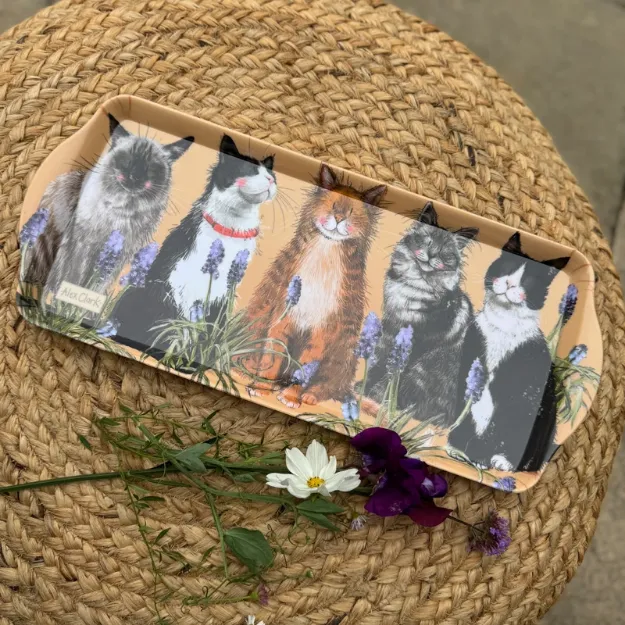 Bild von MEDIUM CATS TRAY