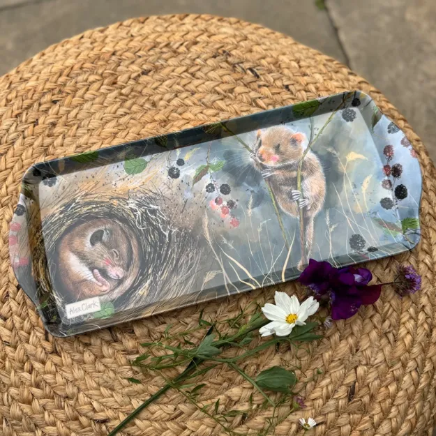 Bild von MEDIUM DORMOUSE TRAY