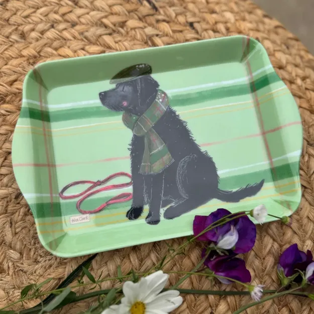 Bild von SMALL HAT AND SCARF TRAY