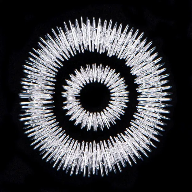 Bild von Akupressur Ringe