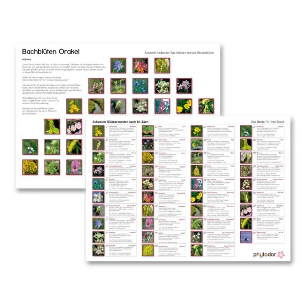 Bild von Bachblüten-Orakel von Phytodor, A4