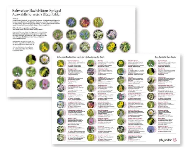 Bild von Schweizer Bachblüten-Spiegel laminiert A4 von Phytodor