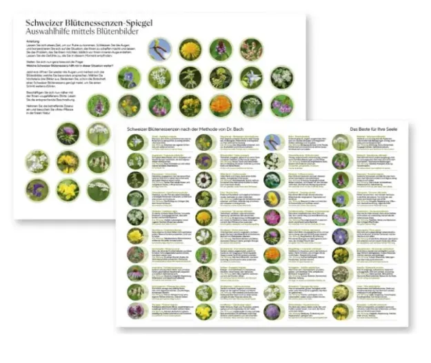 Bild von Schweizer Blütenessenzen-Spiegel laminiert A4 von Phytodor