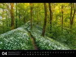 Bild von Naturparadies Deutschland - Signature Kalender 2026