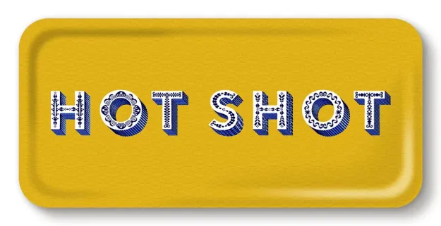 Bild von Asta Barrington Tray Hot shot 32x15 - Jamida of Sweden