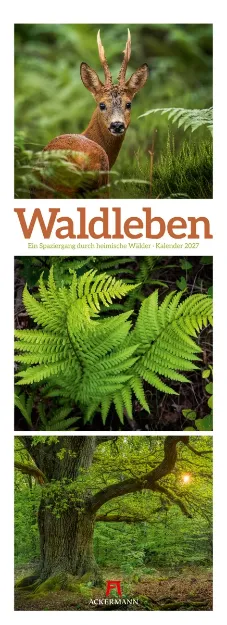 Bild von Waldleben Triplet-Kalender 2027 - Spaziergang durch heimische Wälder